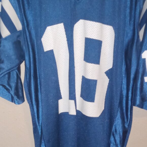 NFL Reebok Jersey and bag set(Manning #18) - Picture 4 of 5